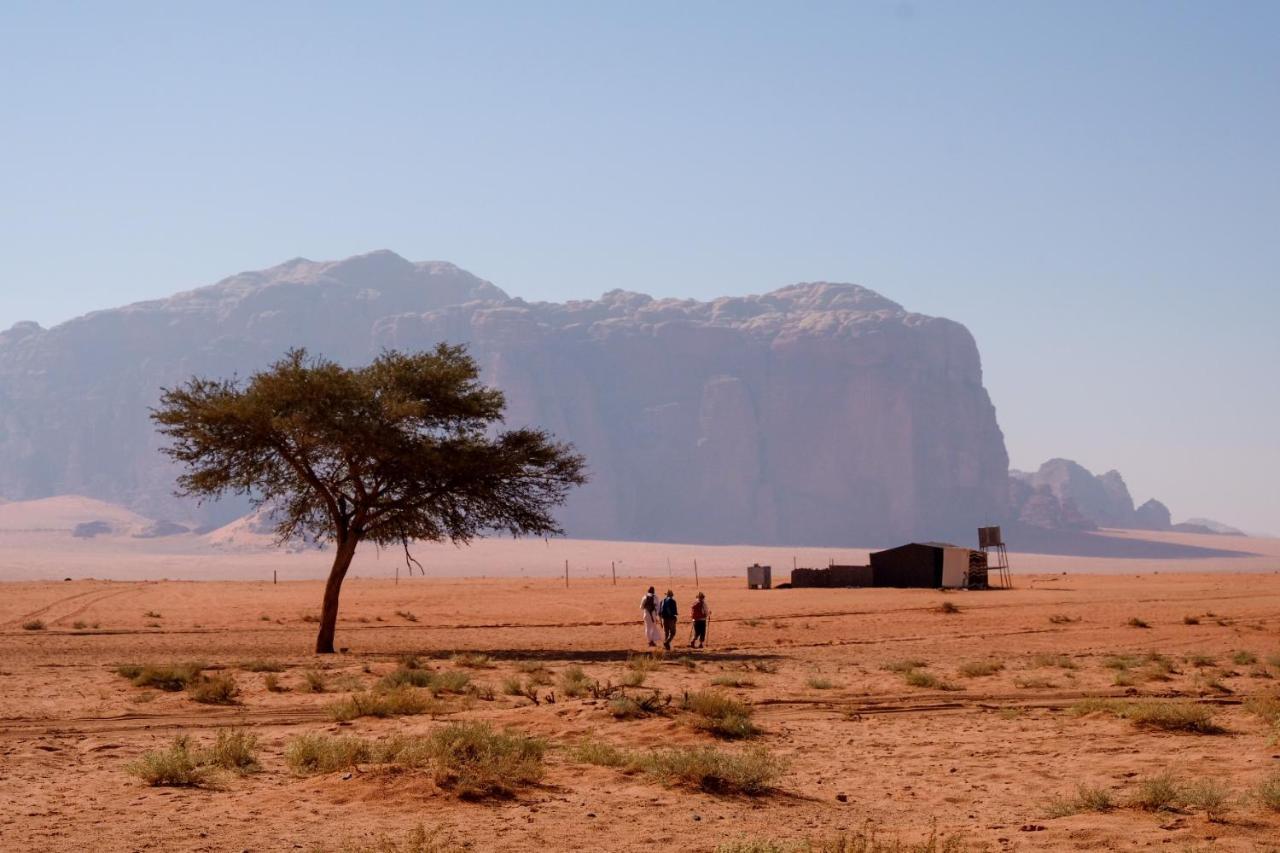 Wadi Rum Fig Tree Camp Экстерьер фото